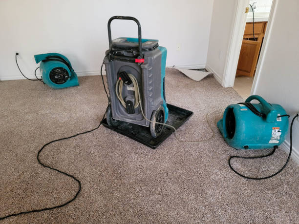 Best 24/7 water damage repair  in Cynthiana, KY