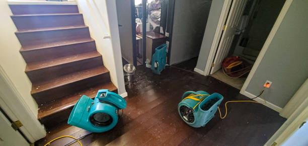 Best Basement water damage restoration  in Cynthiana, KY