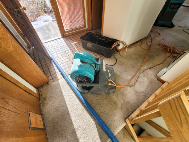 Best Water damage cleanup near me  in Cynthiana, KY