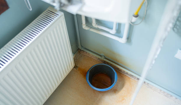 Best Water damage contractors near me  in Cynthiana, KY