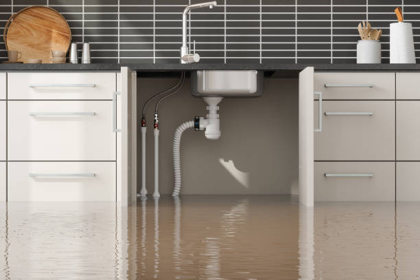 Best Local water damage restoration  in Cynthiana, KY