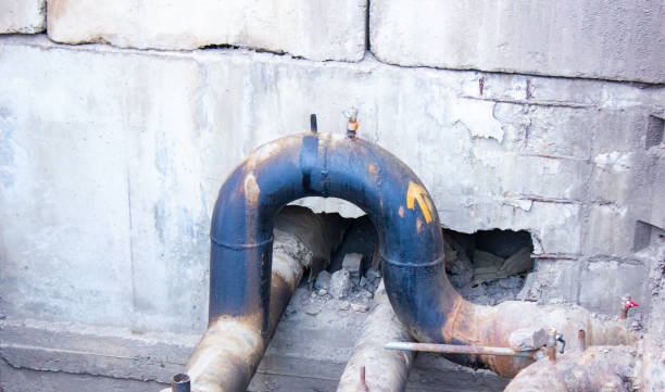 Best Emergency water extraction  in Cynthiana, KY