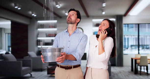 Best 24-hour water damage restoration  in Cynthiana, KY