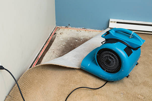Best Fire Damage Restoration  in Cynthiana, KY